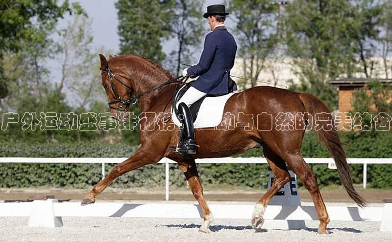 j9九游会最新地址