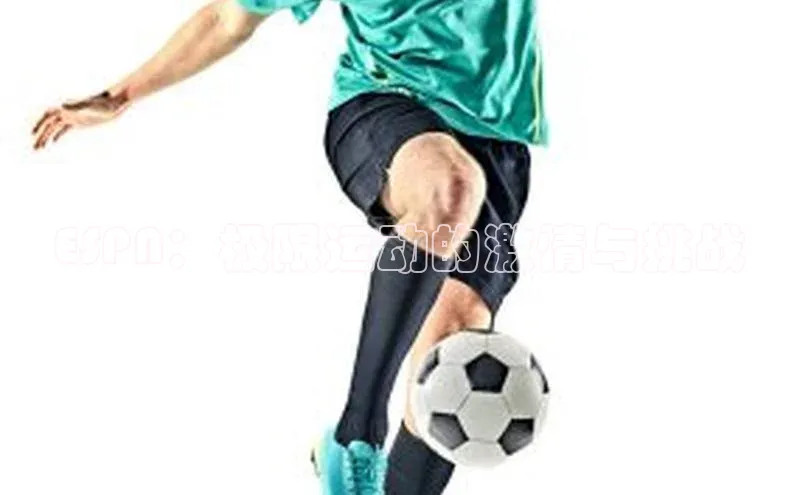 九游会j9官网登录入口